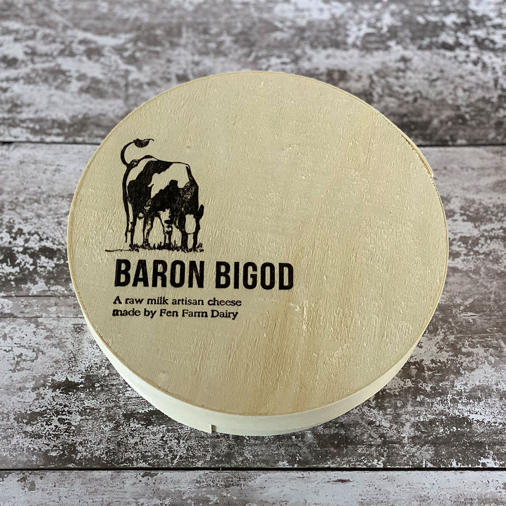 Baron Bigod
