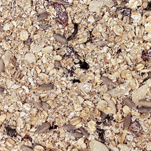 Load image into Gallery viewer, Infinity Foods Organic Vitality Muesli Product Closeup Detail
